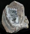 Crystal Filled Dugway Geode (Polished Half) #33162-1